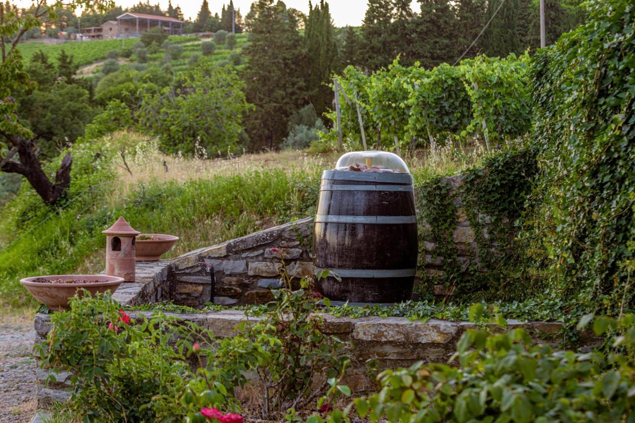 Alojamento de Turismo Rural Agriturismo Concadoro