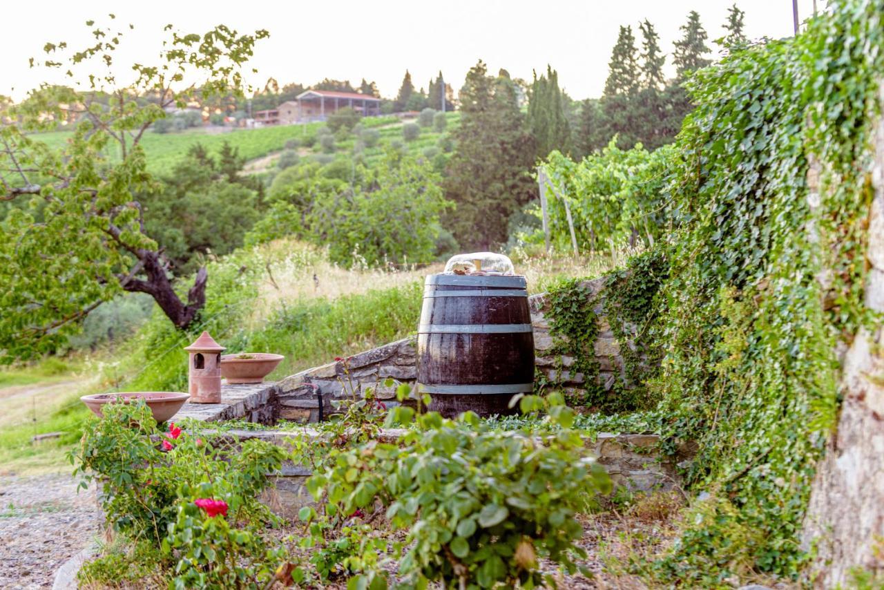 Agriturismo Concadoro