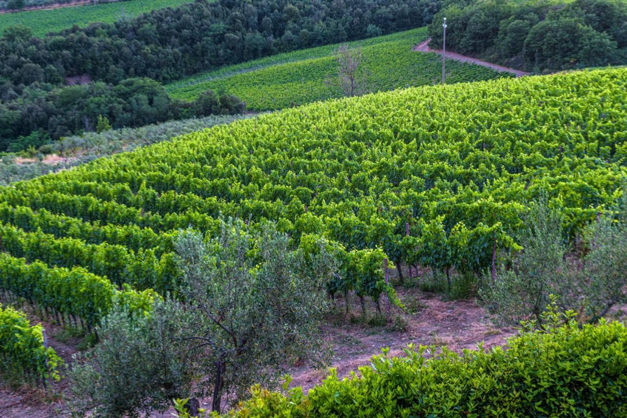 Alojamento de Turismo Rural Agriturismo Concadoro Castellina in Chianti